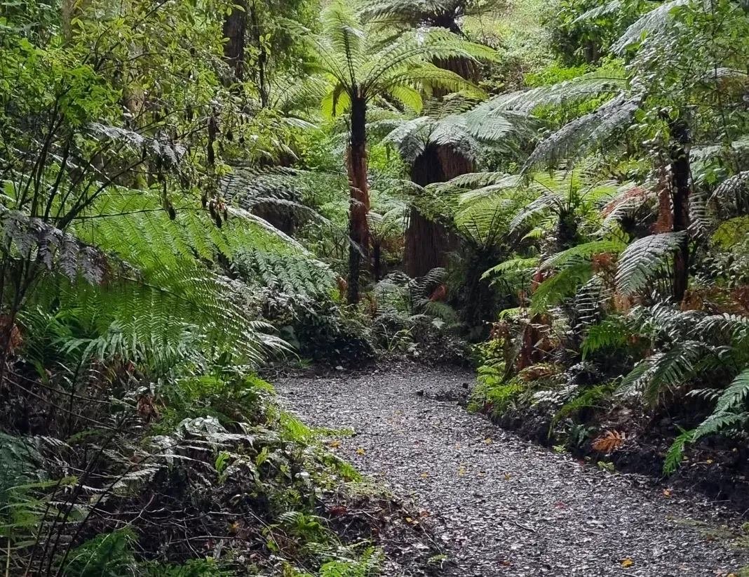 Dog Poo Bandits May See Bluff Track Ban