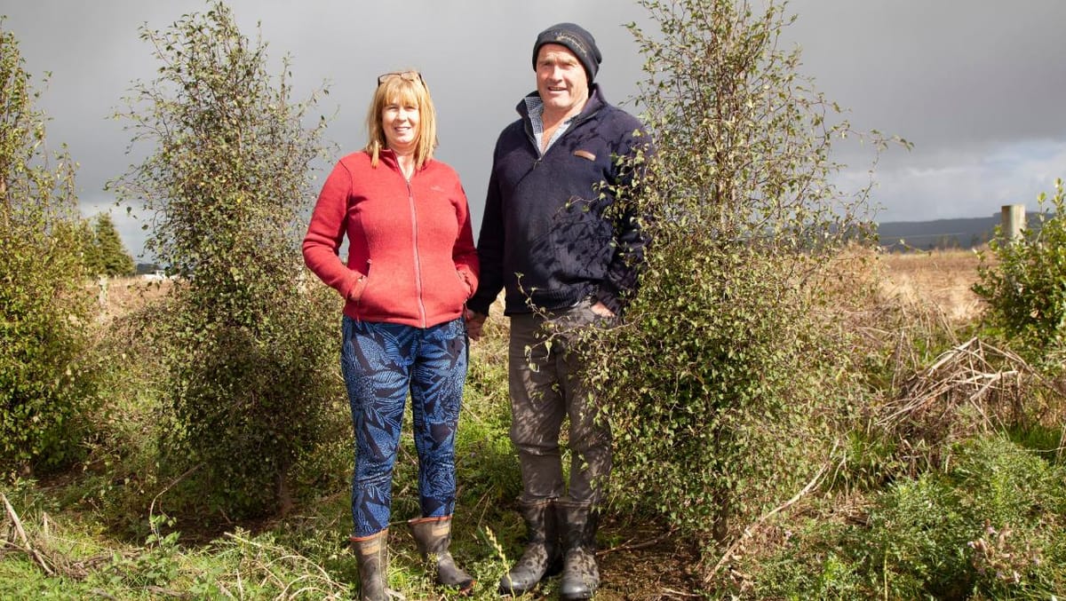 Southland Farm Becomes Greener With Every Tree Planted