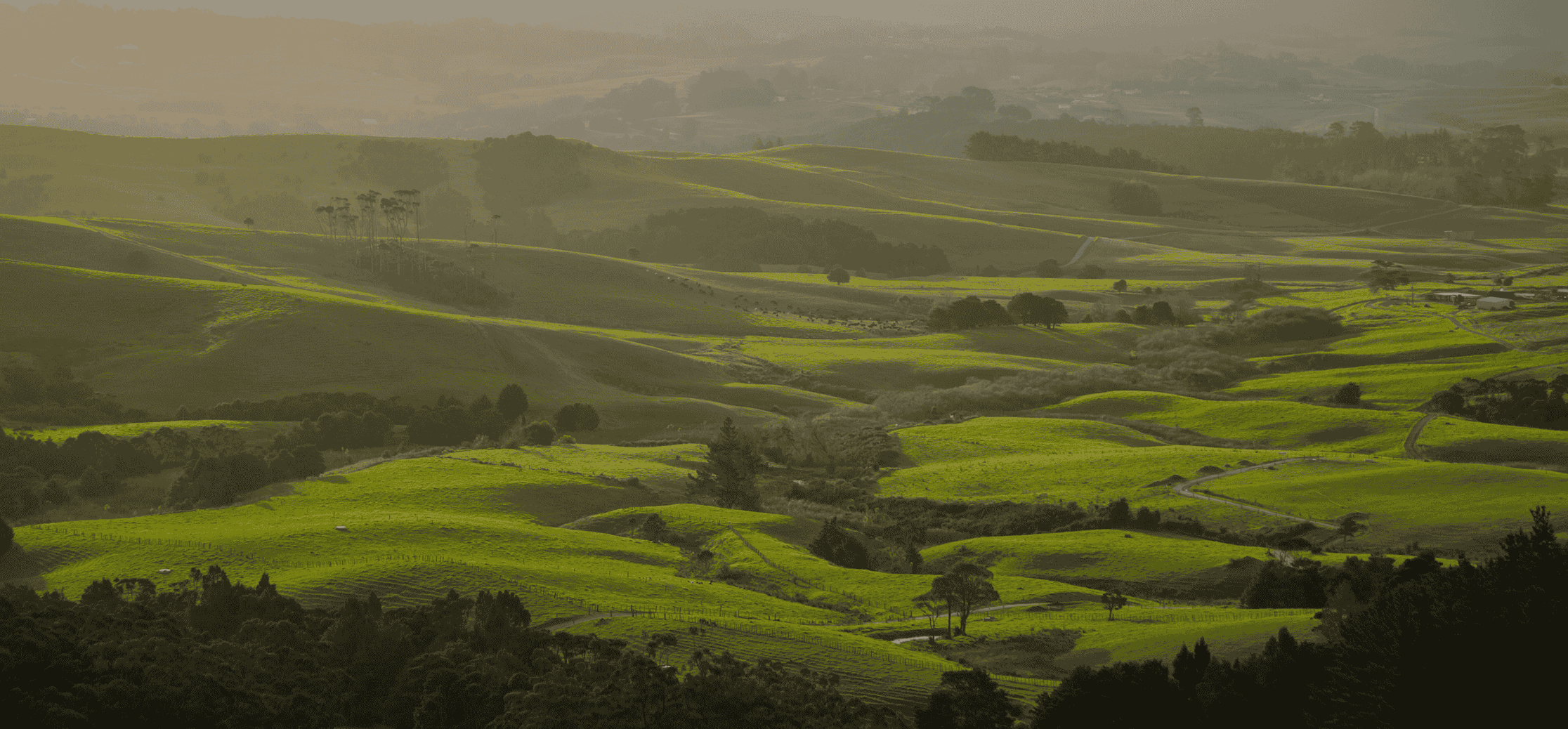 Farmer Confidence Reaches Highest Level In Years