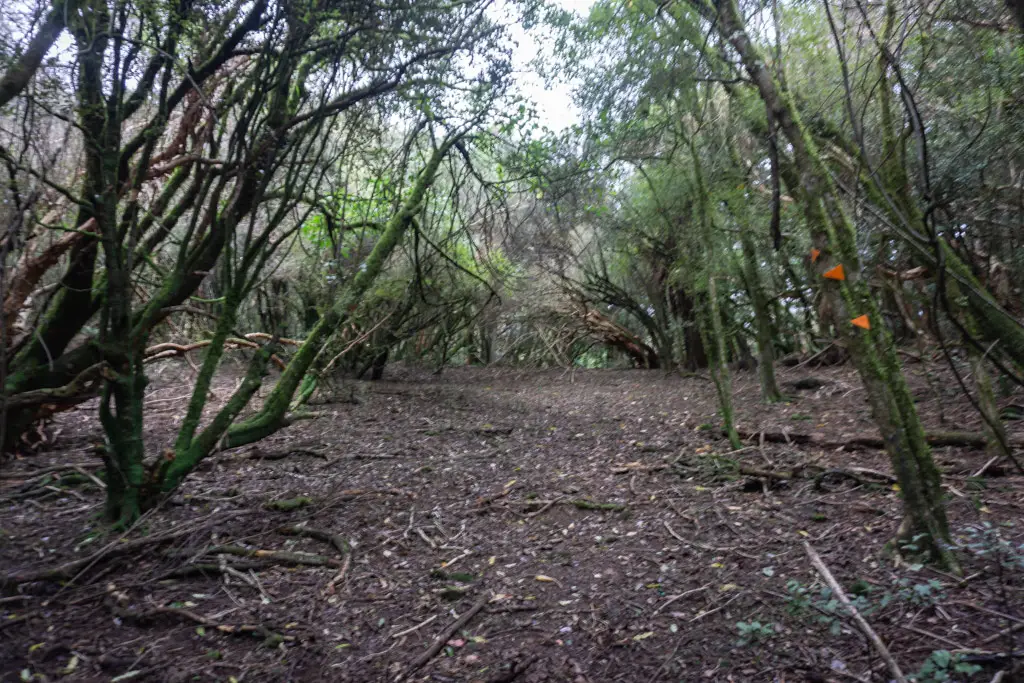 Police Urge Caution After Hiker Rescued During Southland Emergency