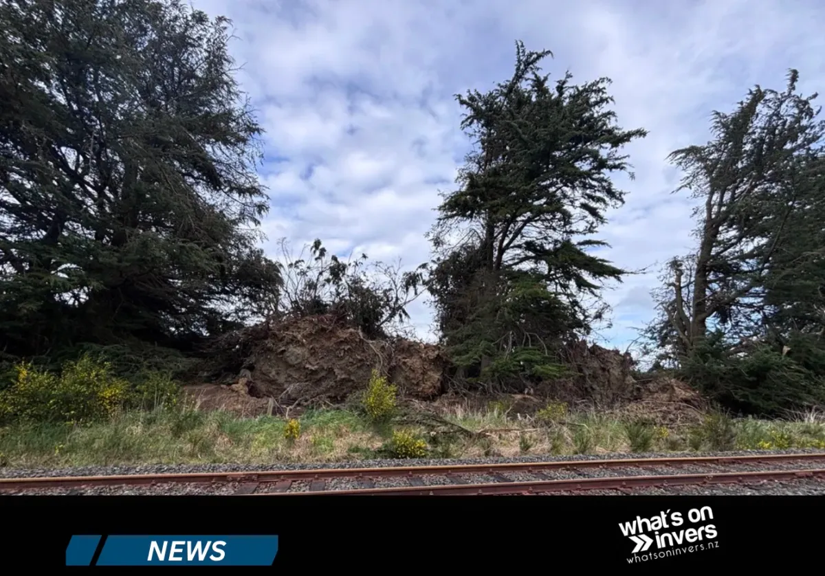 Roads Closed, Parks Shut, Power Slowly Restored After Wild Winds (Updated)