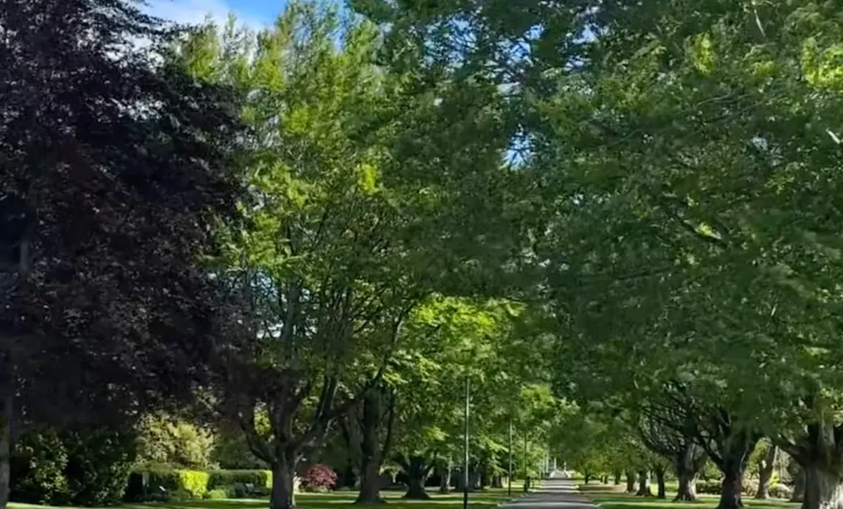 More Of Queens Park Opens Ahead Of Time