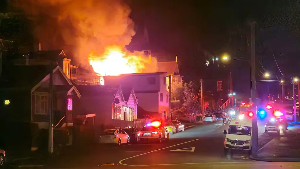 Firefighters Respond To Five Dunedin Area Fires