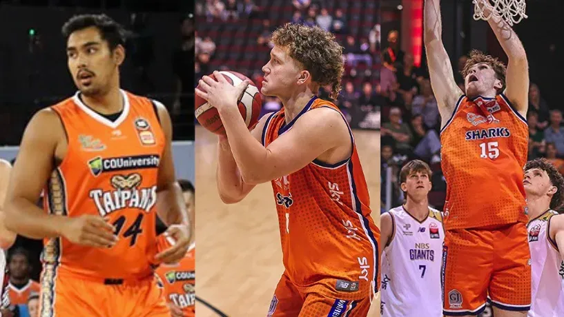 Wynyard Webster And Snow Join Sharks