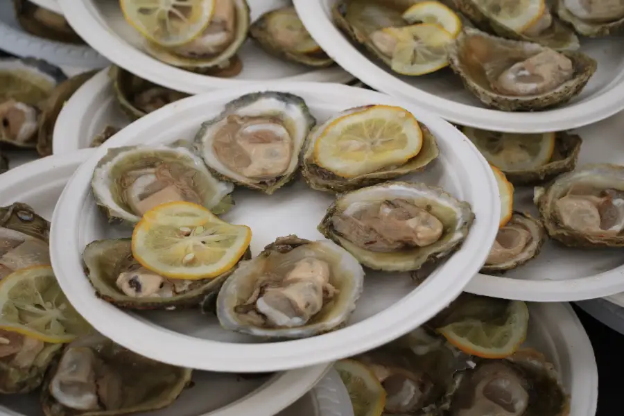 Bluff Oysters Confirmed For This Year's Festival Menu
