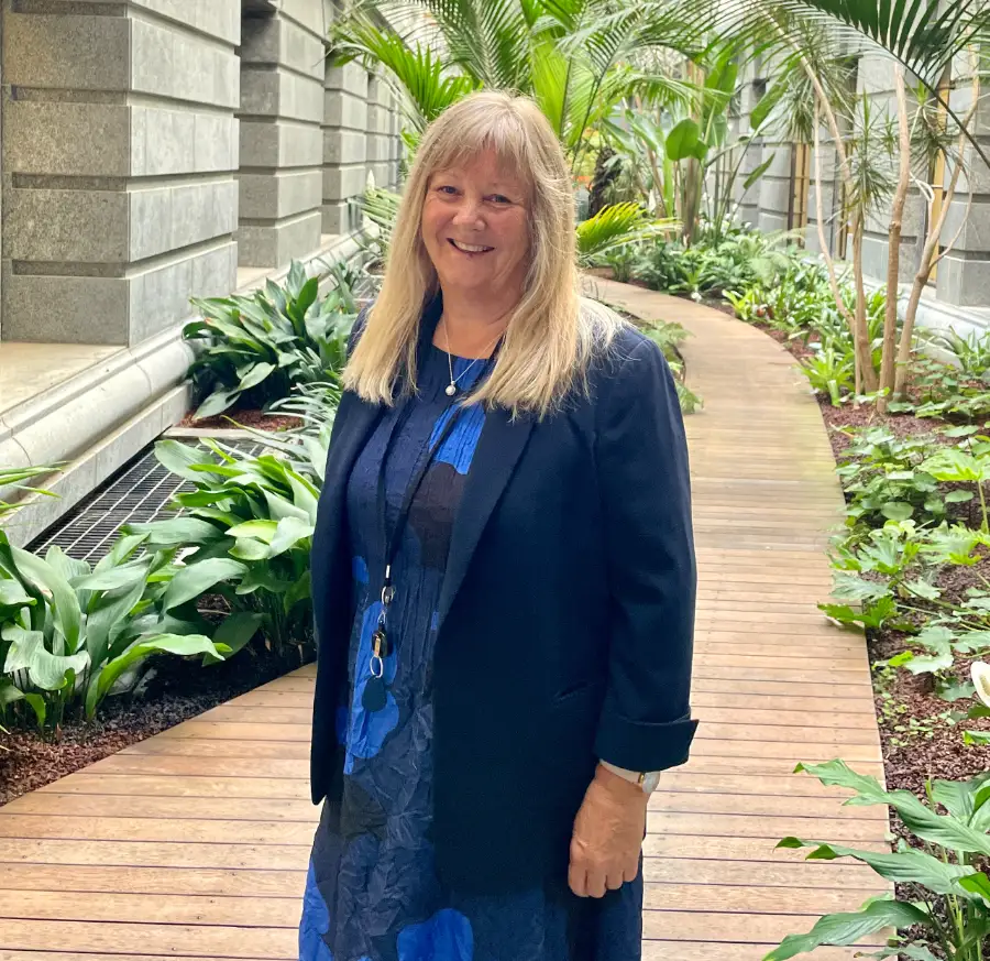 Opinion: Fast-Track Projects Benefit South