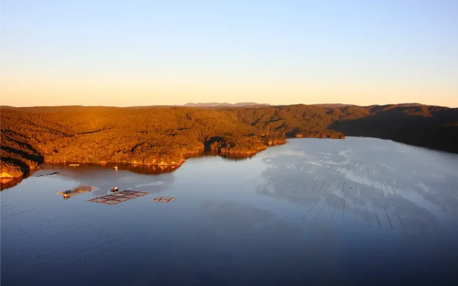 Investigation Underway To Support Aquaculture Industry