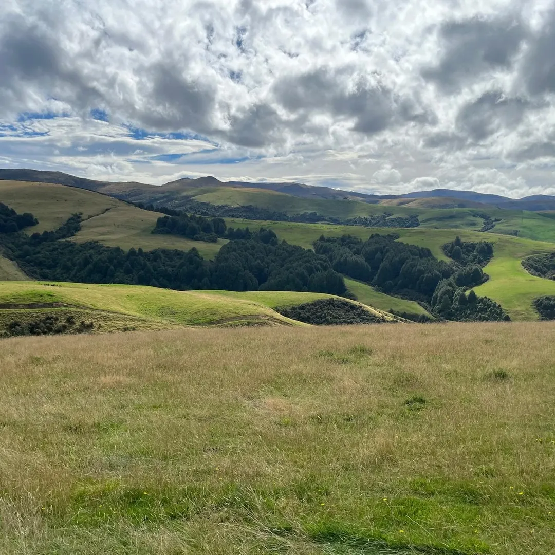 Southland Farmers Get 18-month Extension on Freshwater Plan Deadline