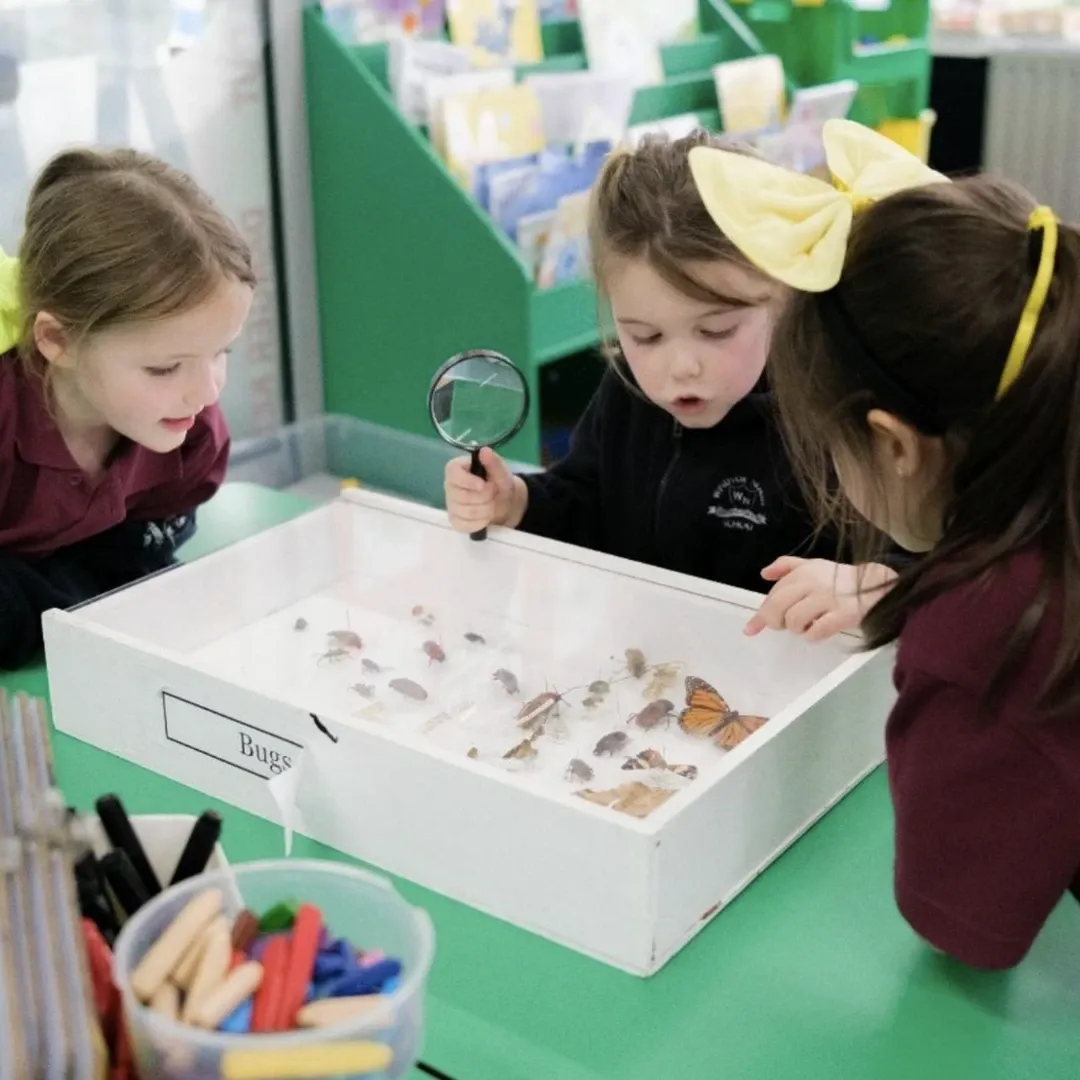 Museum of Southland Launches School Outreach Pilot