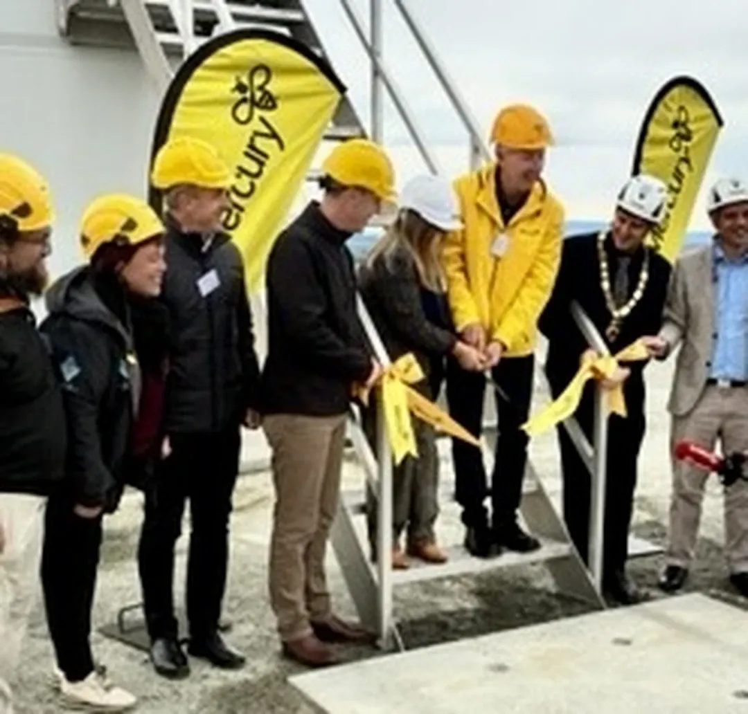 Southland Wind Farm Fully Open After $496m Build
