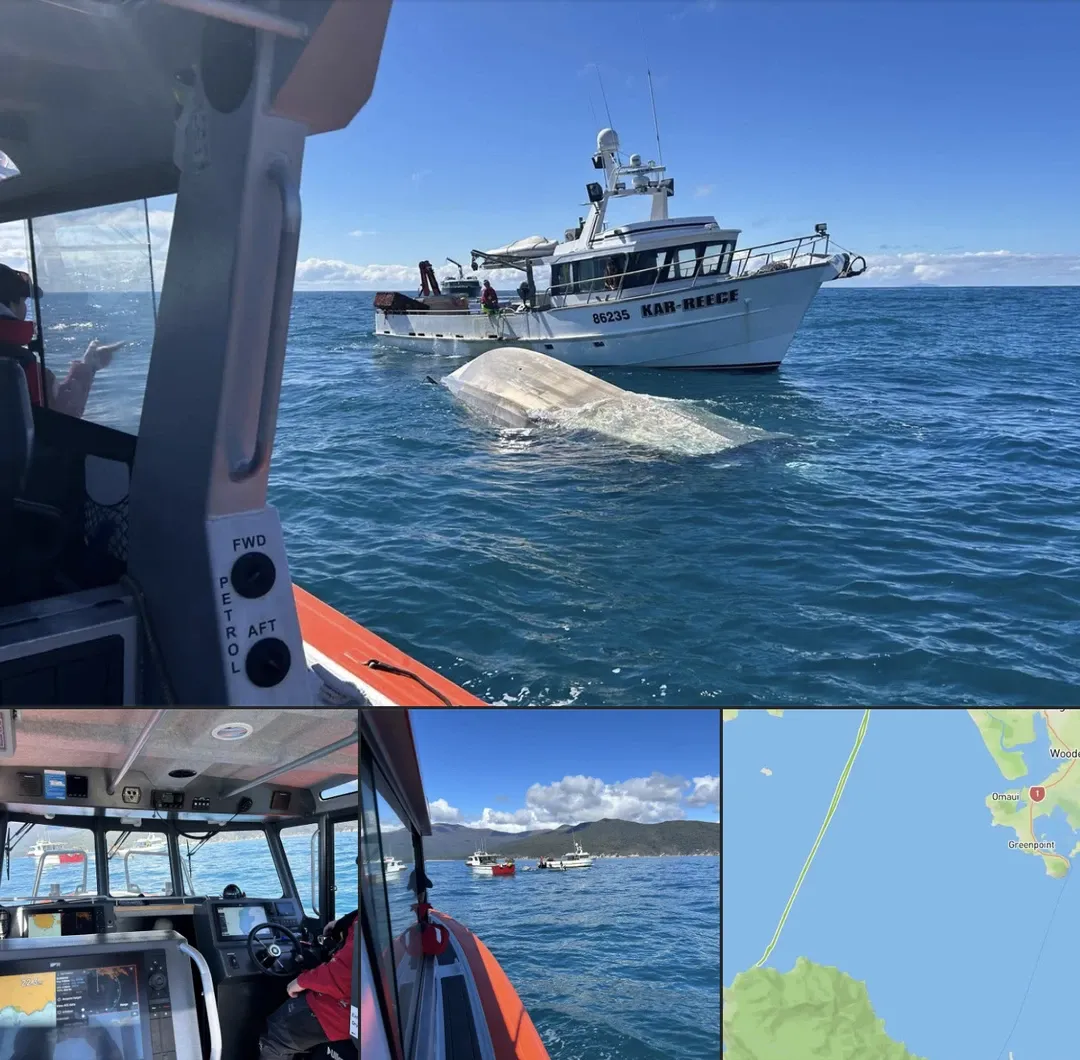 Beacon And Radio Saved Four North Of Stewart Island