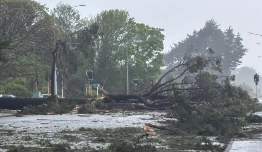 October Storm - 12 Months On