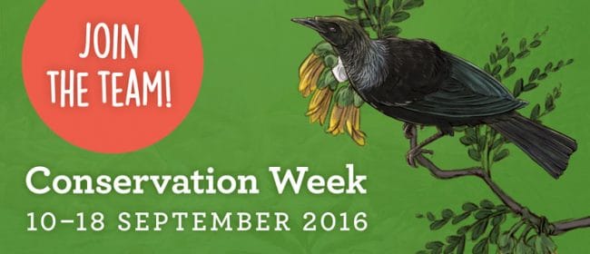 Conservation Week A Great Opportunity To Get Involved