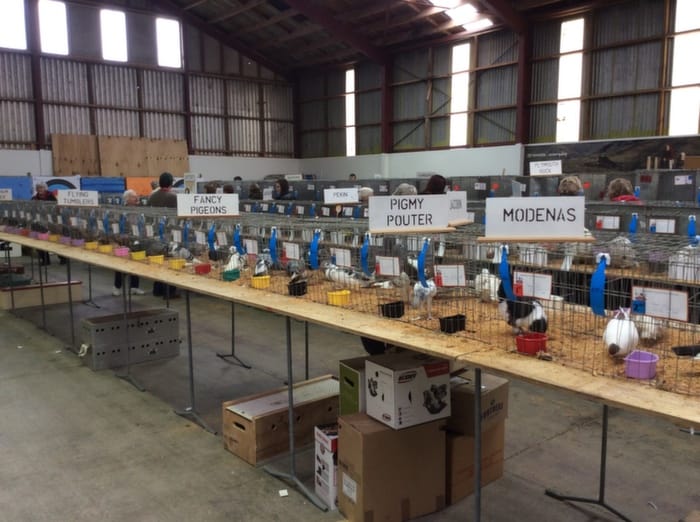 103rd Invercargill Poultry Show -presented by What’s On Invers