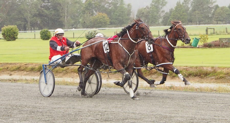 Classic Cars On Display At Wyndham Trots