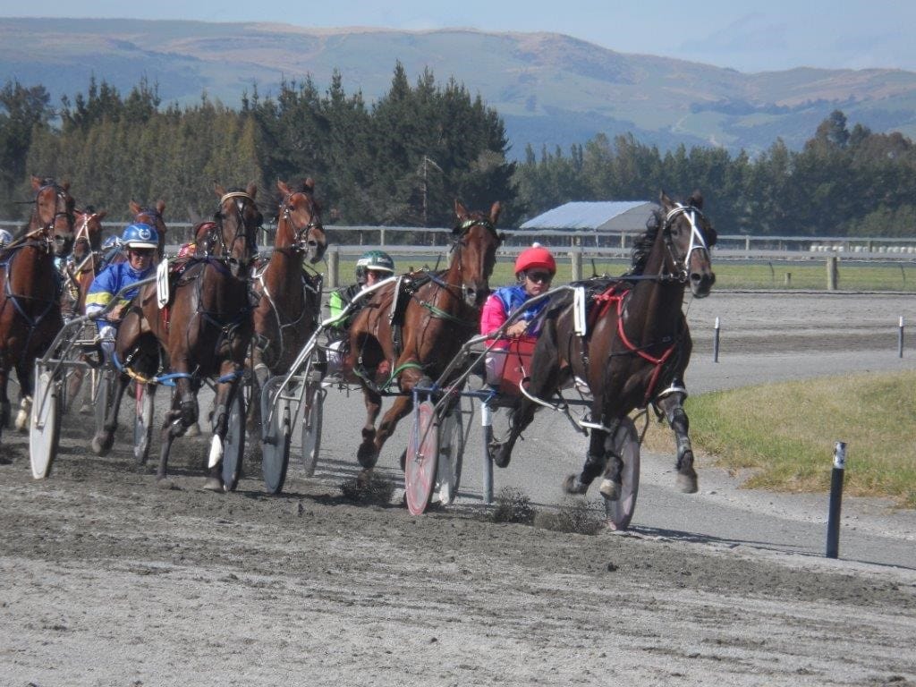 Emphasis on The Ladies at Riverton Trots at Winton