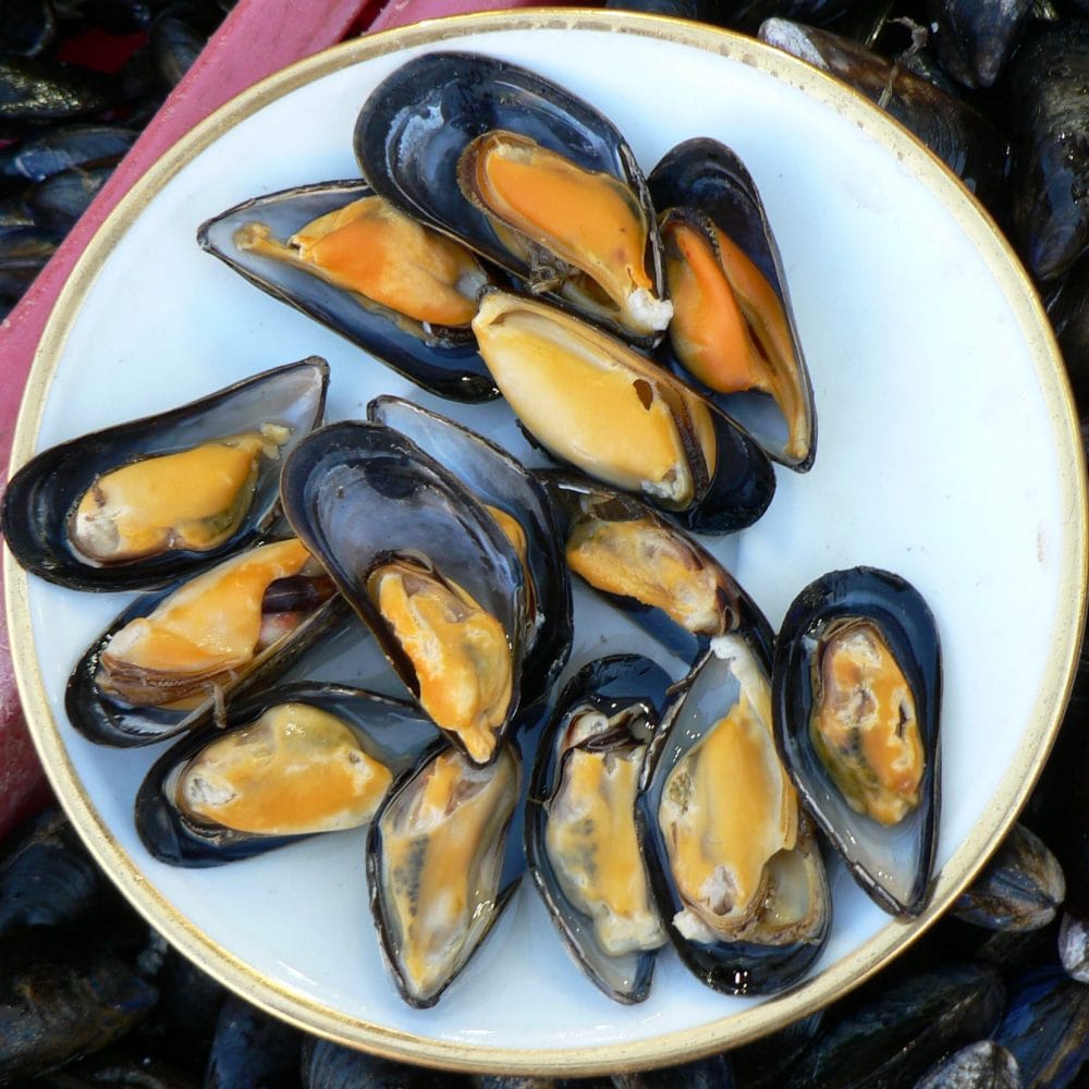 Consumers Urged Not to Eat Illegal Mussels