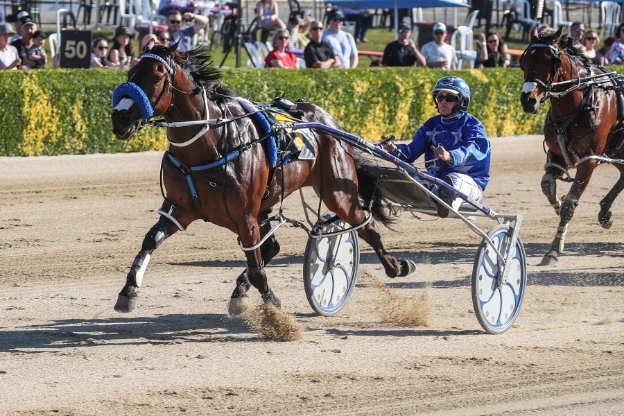 Big prize Adds Even More Sparkle To Diamonds Day