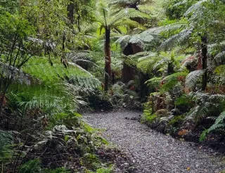 Dog Poo Bandits May See Bluff Track Ban