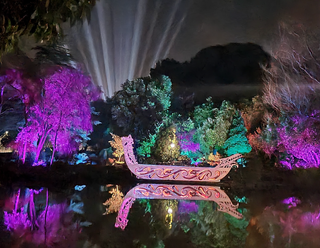 Annual Matariki Festival Called Off This Year