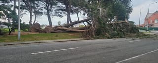 Strong Winds Cause Damage Across Southland - Updated