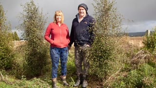 Southland Farm Becomes Greener With Every Tree Planted