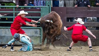 Bucking Bulls Impress At Southland Rodeo