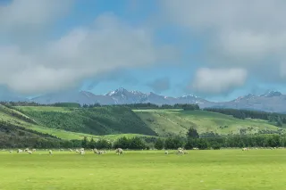 Tourism and Horticulture Ventures Approved for South Island Pastoral Leases