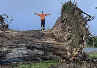 Storm and grid fault darken Southland