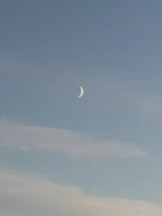 Crescent moon over a pale Southland sky