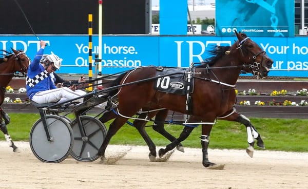 Williamson Team Primed For Big G1 Invercargill Cup Day