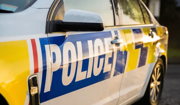 Youths Arrested Following Recent Gore Burglaries