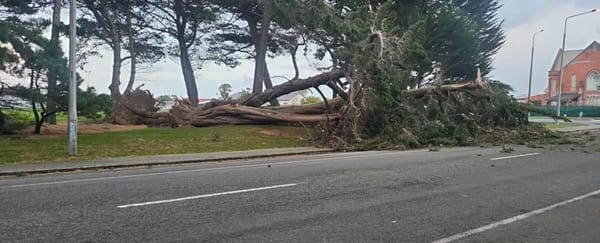 Strong Winds Cause Damage Across Southland - Updated
