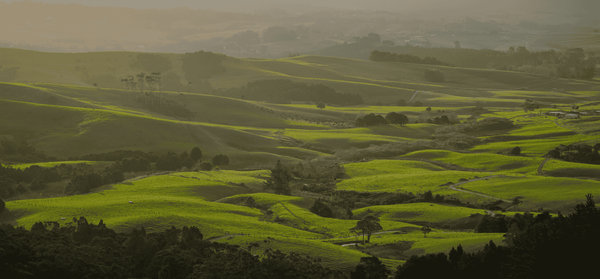 Farmer Confidence Reaches Highest Level In Years