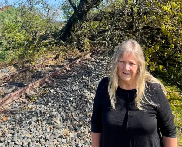 Lessons to be Learned in Wake of Storm