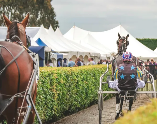 Spectacular Cup Day For The Invercargill Harness Racing Club