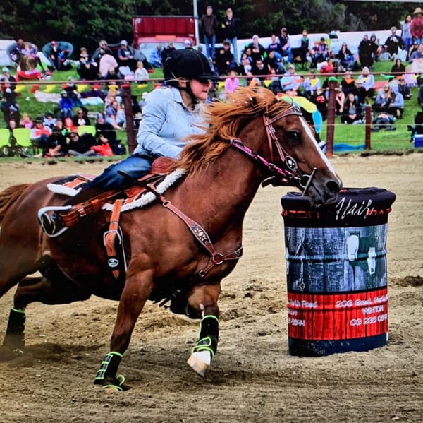 Bucking Bulls In Action This Weekend At Southland Rodeo