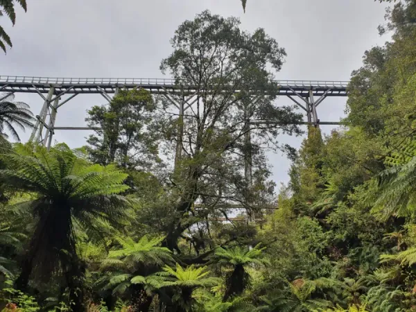 Historic Fiordland Viaducts Remain Closed Due to Safety Concerns