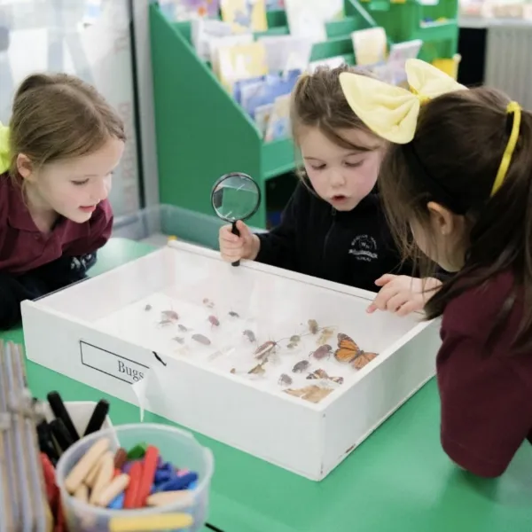 Museum of Southland Launches School Outreach Pilot