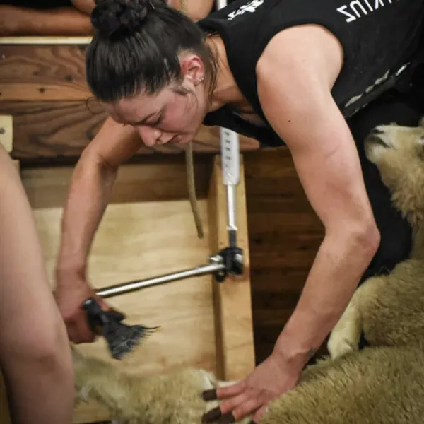 Southland Shearer Targets World Record