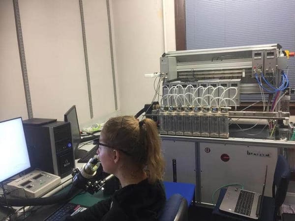 Coronavirus: Otago Scientist Joins International Covid-19 Team