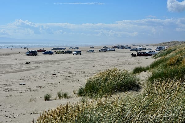 More Protection For Oreti Beach With Signing of Memorandum of Understanding