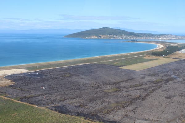 The Aftermath Of Fire Near Tiwai Smelter (photos + video)
