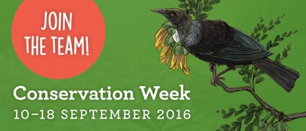 Conservation Week A Great Opportunity To Get Involved