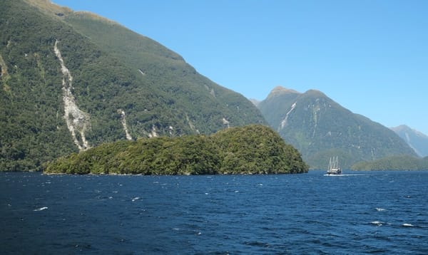 Diver Dies in Doubtful Sound