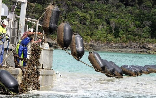 Aquaculture Direct Aims for Nationwide Marine Farming Expansion