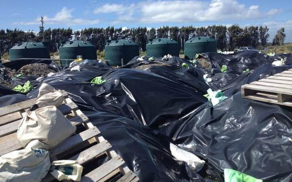 Court Action Brings Hope to Mataura Residents of Toxic Waste Dispute Resolution