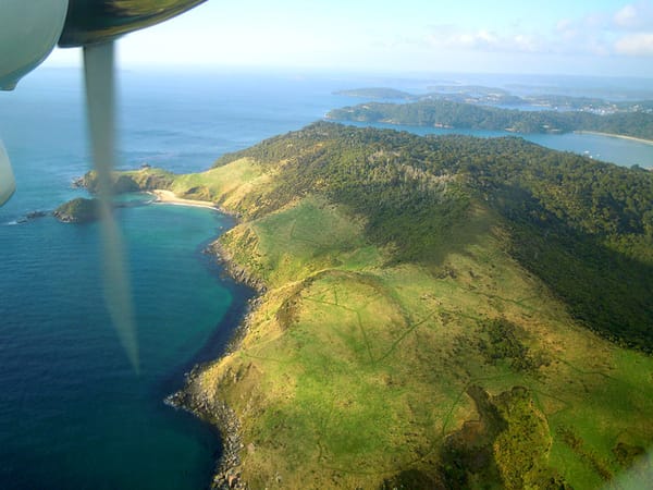 Missing Hunter located on Stewart Island