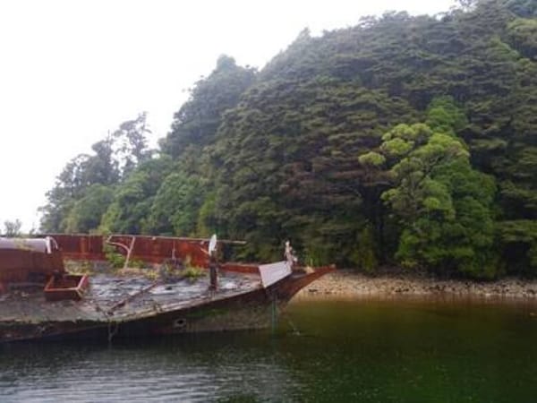 More Undaria Discovered In Fiordland