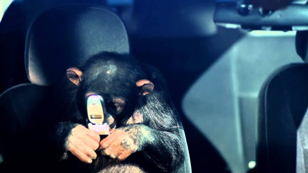 Trunk Monkey